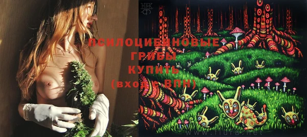 бошки Абинск