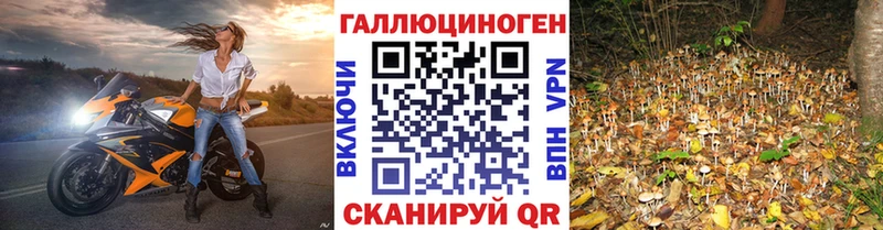 Галлюциногенные грибы ЛСД  купить   Астрахань 